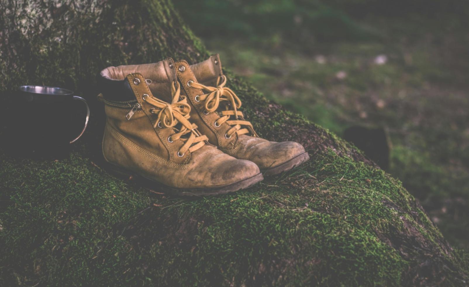 Ecotourism career development workshop session